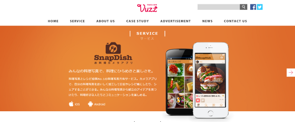 ヴァズのWebサイトです。 画像:ヴァズのWebサイト